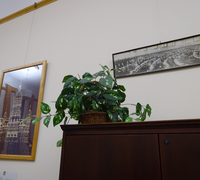 Office21
