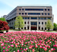 LOB_Spring