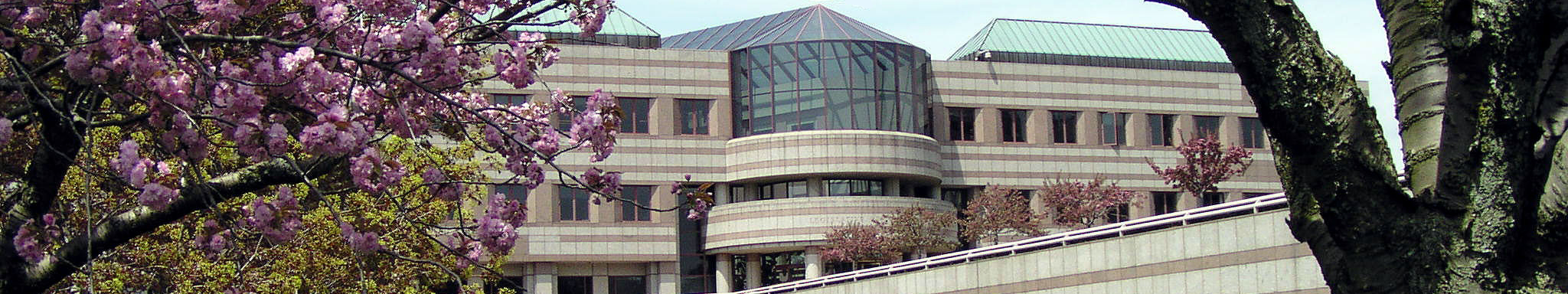 The Legislative Office Building